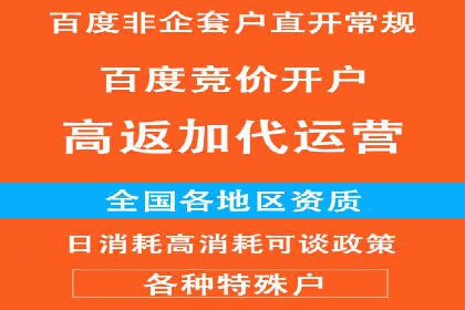 竞价代运营的优化过程：从初试到精通的转变